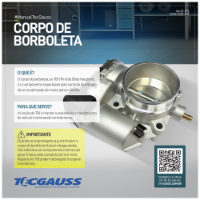 CORPO DE BORBOLETA (TBI)  - GI7013