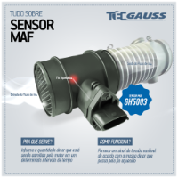 SENSOR MAF  - GH5620
