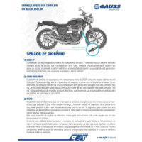 SONDA LAMBDA  - GM18011