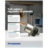 REGULADOR DE PRESSÃO  - GI8001