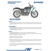 VELA DE IGNIÇÃO  - GV8R25